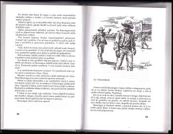 Max Brand: Ztracená Bonanza