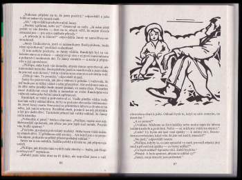Zane Grey: Ztracené pueblo