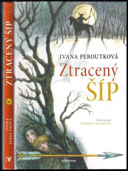 Ztracený šíp