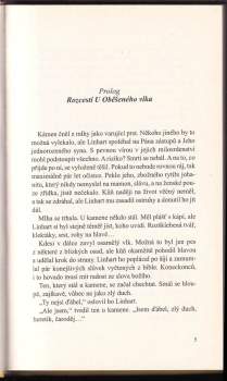 Zuzana Koubková: Ztracený templářský poklad