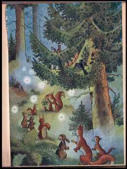 Sylva Krejčová: Ztratila se hvězdička