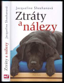 Ztráty a nálezy