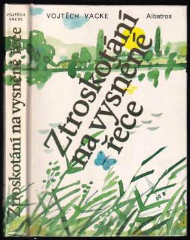 Ztroskotání na vysněné řece