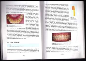 Jiří Šedý: Zubař - nejlepší přítel člověka