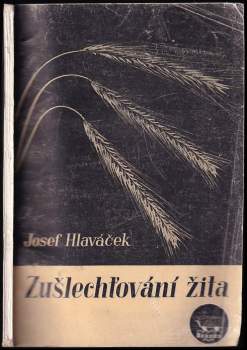 Zušlechťování žita