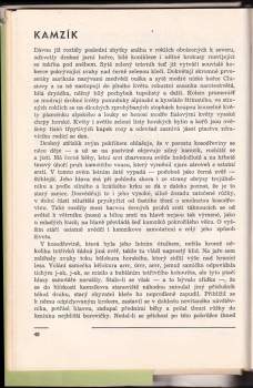 Alois Mikula: Zvířata a jejich osudy