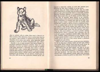 Adolf Dygasiński: Zvířata a lidé