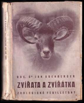 Zvířata a zvířátka