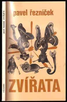 Zvířata