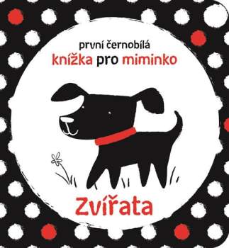 Zvířata