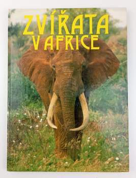 Zvířata v Africe