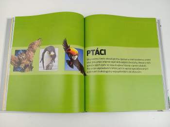 John Woodward: Zvířata v kostce