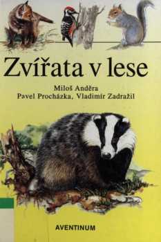 Zvířata v lese