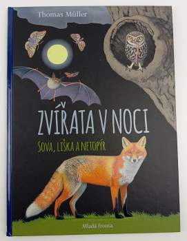 Zvířata v noci