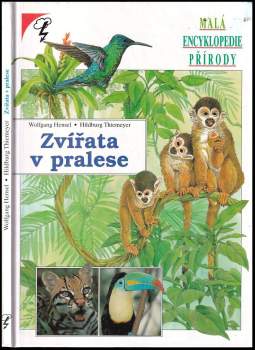 Zvířata v pralese
