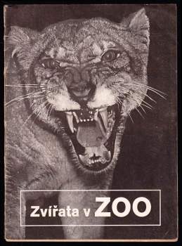 Zvířata v ZOO
