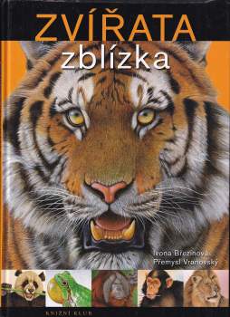 Ivona Březinová: Zvířata zblízka