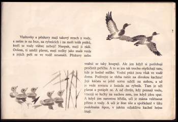 Jiří Zdeněk Novák: Zvířátka a jejich mláďátka