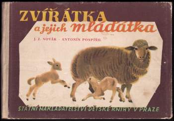 Zvířátka a jejich mláďátka