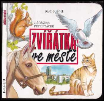 Zvířátka ve městě