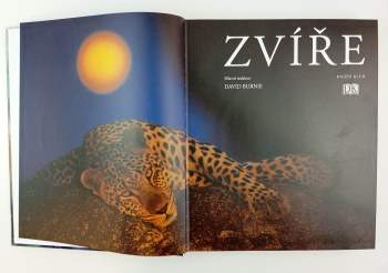 Zvíře