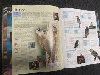 Zvíře - obrazová encyklopedie živočichů všech kontinentů