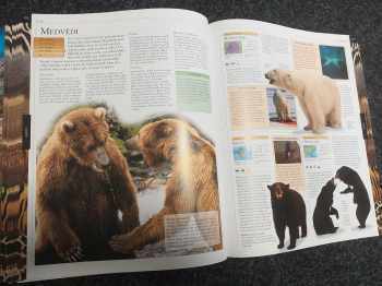 Zvíře - obrazová encyklopedie živočichů všech kontinentů