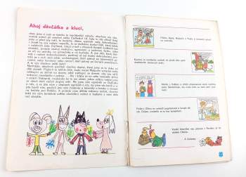 Ljuba Štíplová: Zvlááštní vydáníí - Čtyřlístek 100