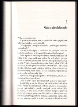 Neal Shusterman: Zvon