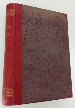 Zvon - Týdenník belletristický a literární - ročník VII.