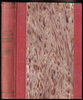 Zvyk je hedvábná košile